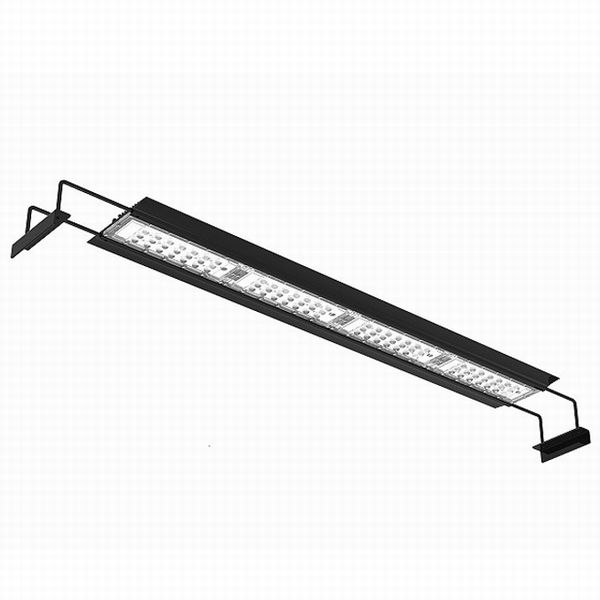 �ڼ��󤻡�NEMO LIGHT II��AM96�������ѡ�[4516641001437]