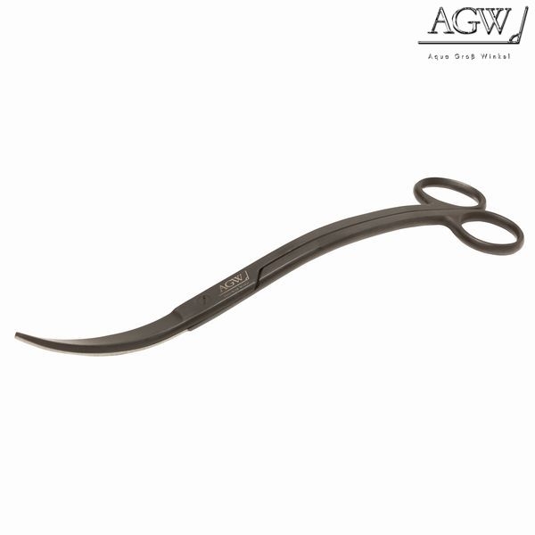 �ץ��������졦��������ʥ������֡�[4580072594042]