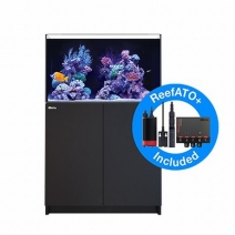 水槽関連 オーバーフロー水槽 90cm 1cm アクアリウムの通販は大阪のg3 Aqua Labまで 水槽関連 オーバーフロー水槽 90cm 1cm アクアリウムの通販は大阪のg3 Aqua Labまで