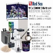 REEFER classic NANO ۥ磻 ڥ󥴻ե륻åȡ