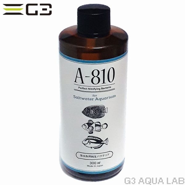 ������ѽ����Х��ƥꥢ A-810 300ml  [4580052390053]