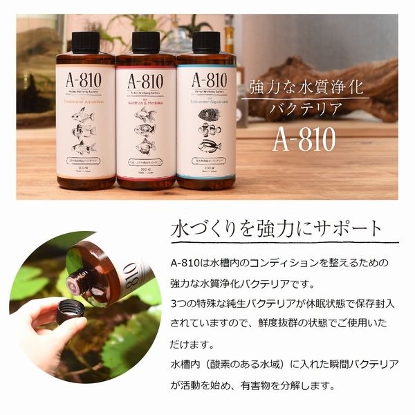 ������ѽ����Х��ƥꥢ A-810 300ml  [4580052390053]