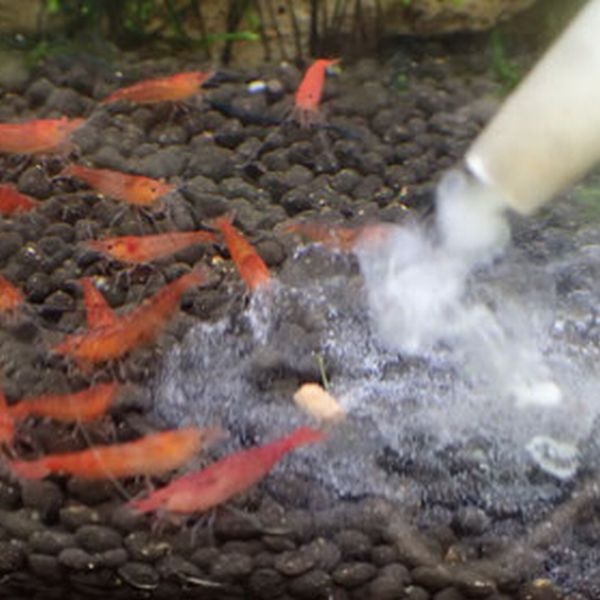 �ҥ� �ץ�ʥꥢ �ϥ󥿡� �����糧�åȡ�[4580524430010]