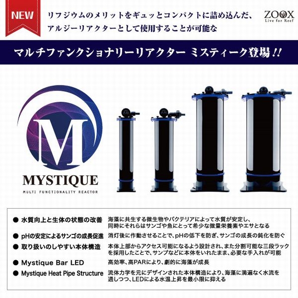 �ڼ��󤻡�zoox MYSTIQUE 180��[4540103000072]