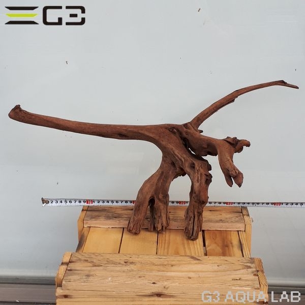 No,201 ADAホーンウッド風流木 サイズ約40〜60cm