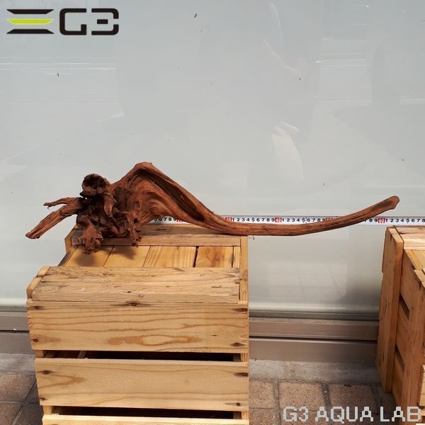 No,207 ADAホーンウッド風流木 サイズ約40〜60cm