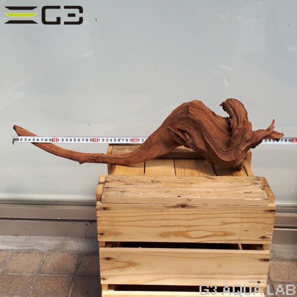 No,207 ADAホーンウッド風流木 サイズ約40〜60cm