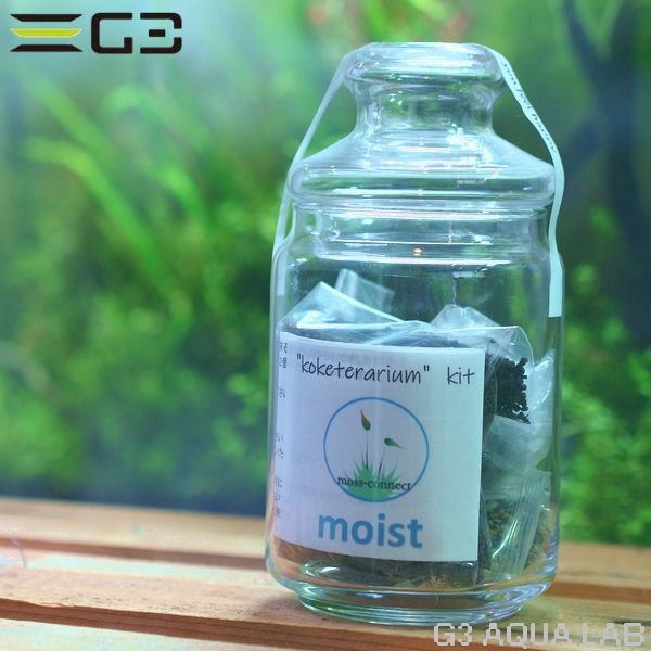 コケリウムキット モイスト ガラス容器付飼育セット