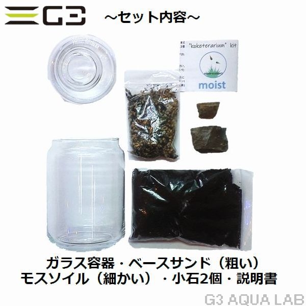 コケリウムキット モイスト ガラス容器付飼育セット