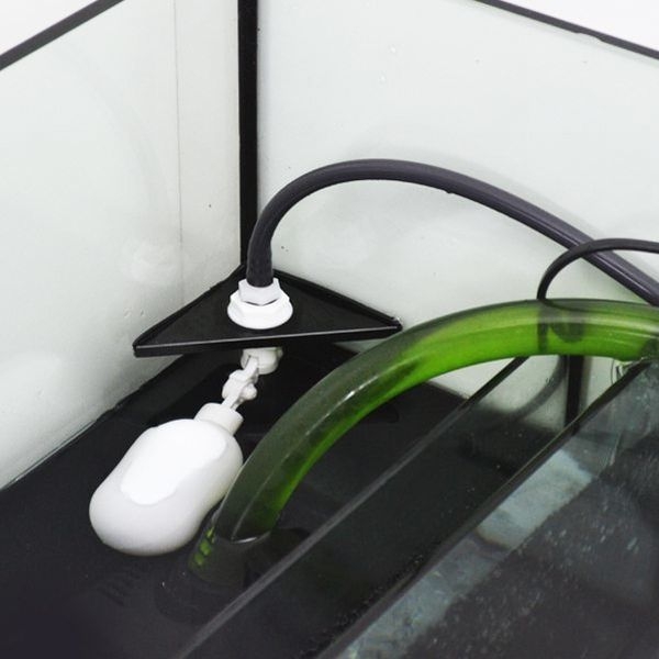 �ڼ��󤻡ۥ꡼�ե������奿�󥯶��̥ե����ȥХ�֡�[R40373]