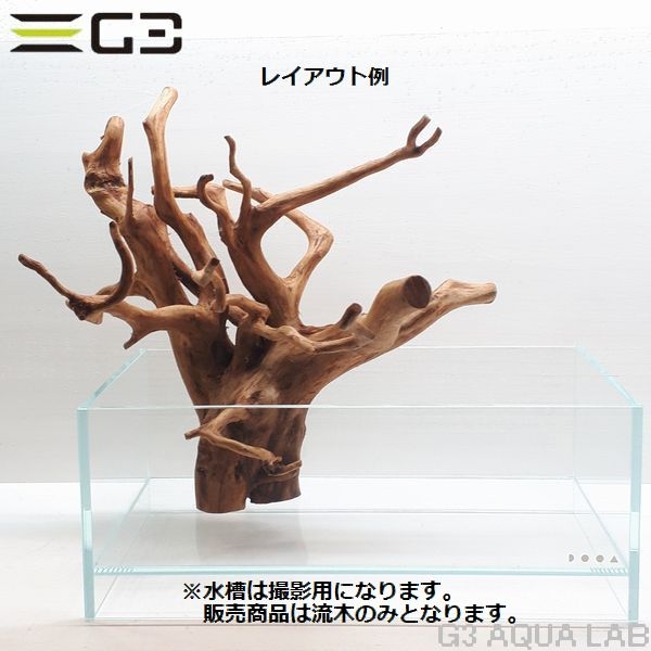 No,301 ADAブランチウッド風流木 サイズ約30〜50cm