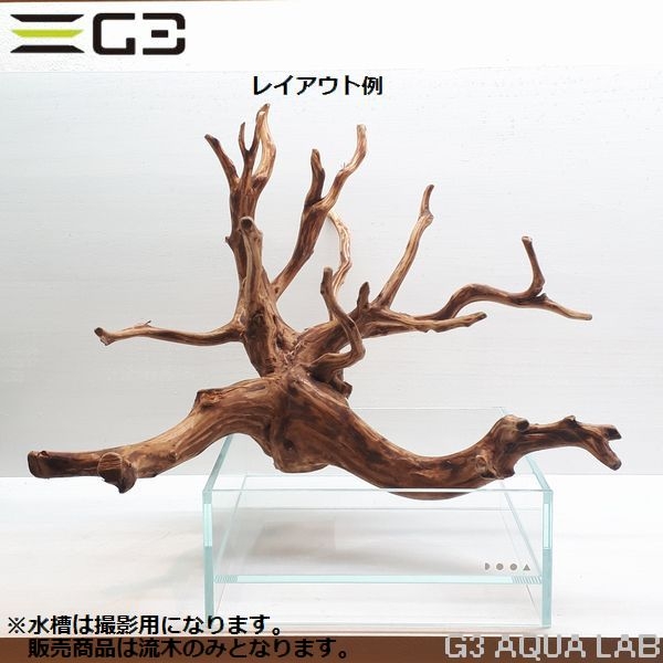 No,302 ADAブランチウッド風流木 サイズ約30〜50cm