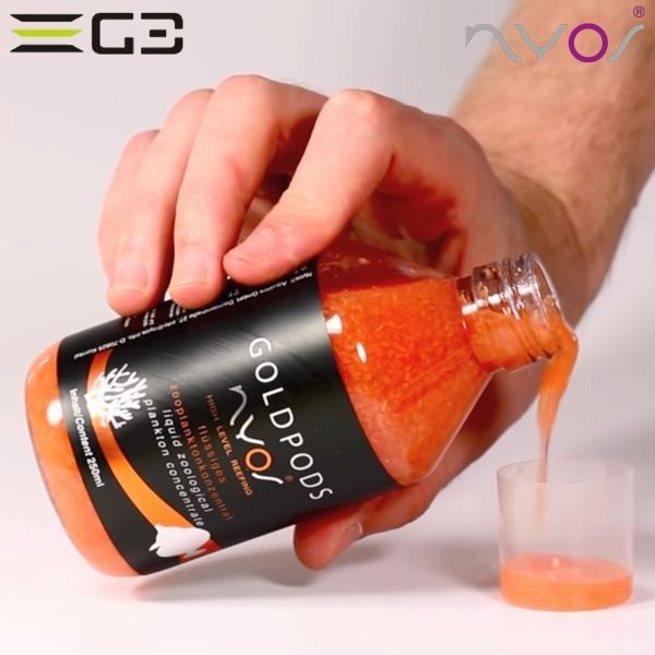 ZEST��NYOS��GOLDPODS ���ڥݡ�����[4934743011169]