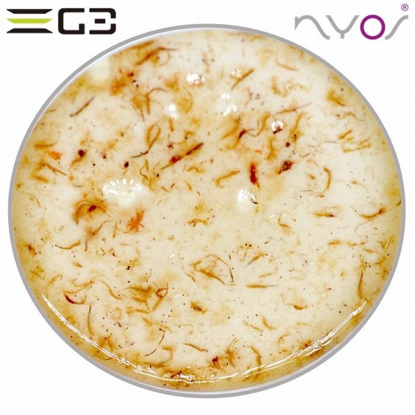 ZEST��NYOS��ARTEMIS �֥饤�󥷥���ס�[4934743011176]