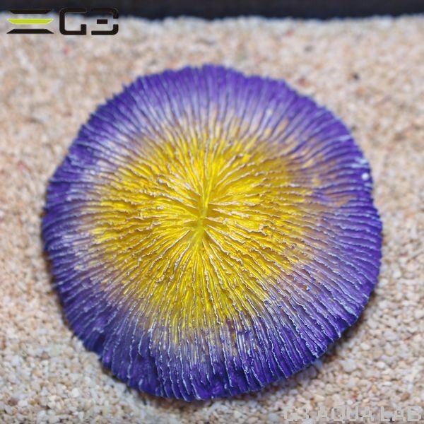 ZEST����ץꥫ���󥴡�S-9��[4934743012432]