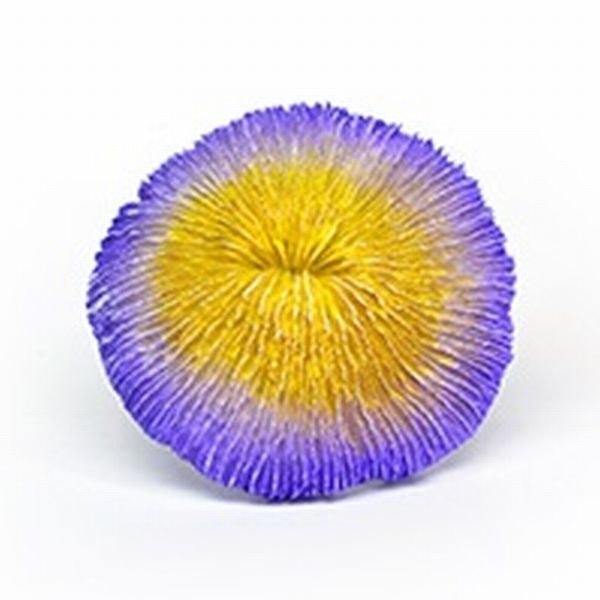 ZEST����ץꥫ���󥴡�S-9��[4934743012432]