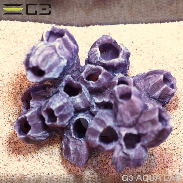 ZEST����ץꥫ���󥴡�M-5��[4934743012456]