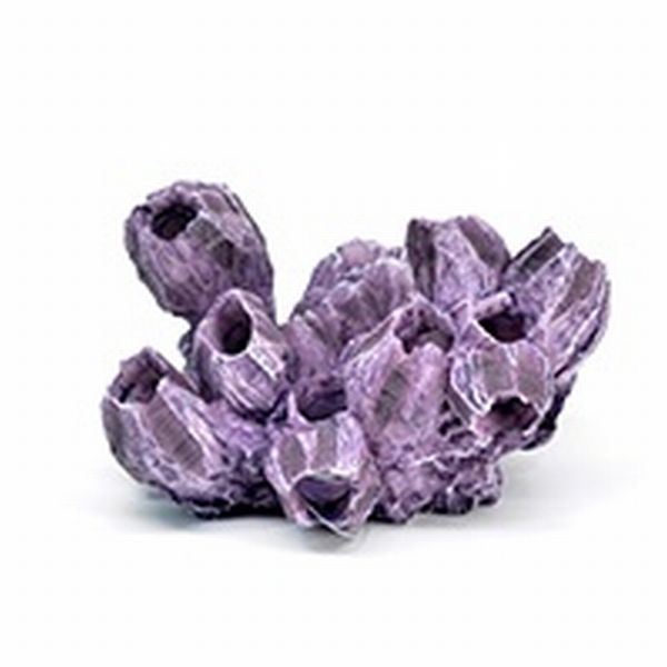 ZEST����ץꥫ���󥴡�M-5��[4934743012456]