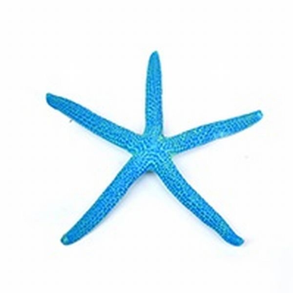 ZEST����ץꥫ���󥴡�M-6��[4934743012463]