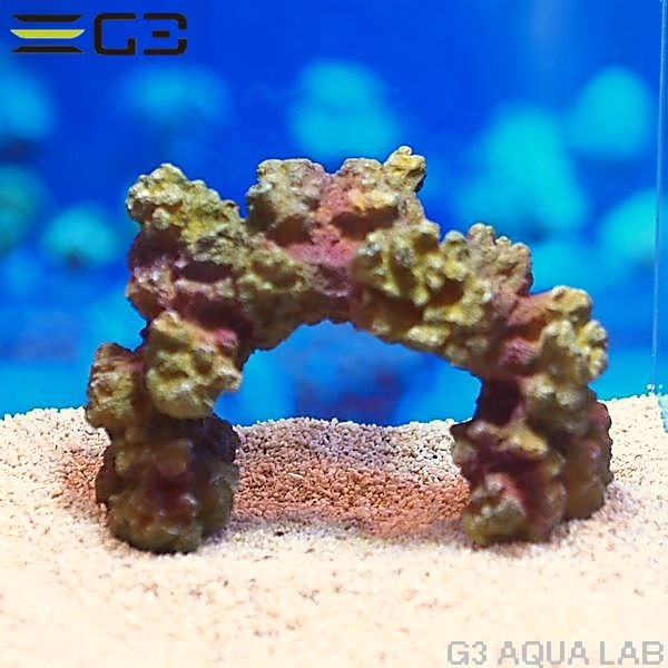 ZEST����ץꥫ���󥴡�L-1��[4934743012470]