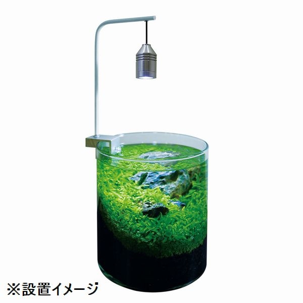 ���� LED�ߥ˥ڥ����ȥ��� S������ 1W��[4960222940002]