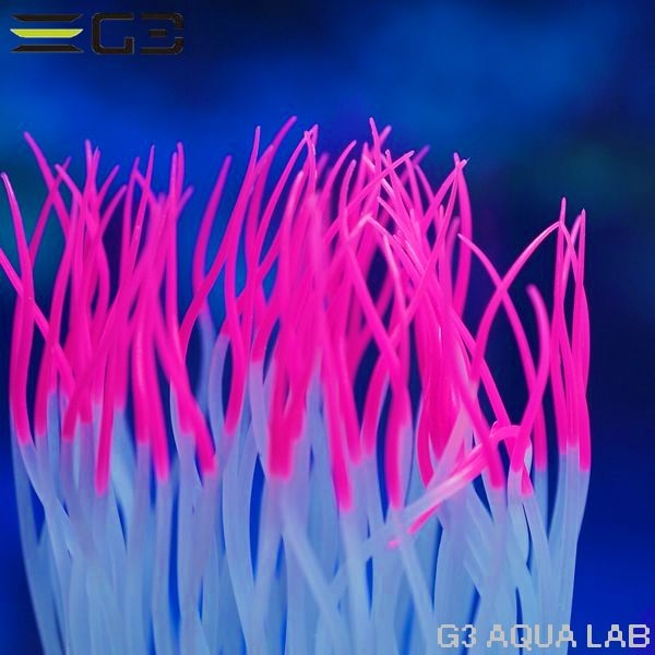 ���ߥϥ�������������㤯�󡡥ԥ󥯡�M��������[4971664009523]