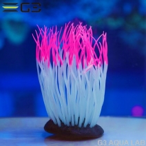 ���ߥϥ�������������㤯�󡡥ԥ󥯡�M��������[4971664009523]