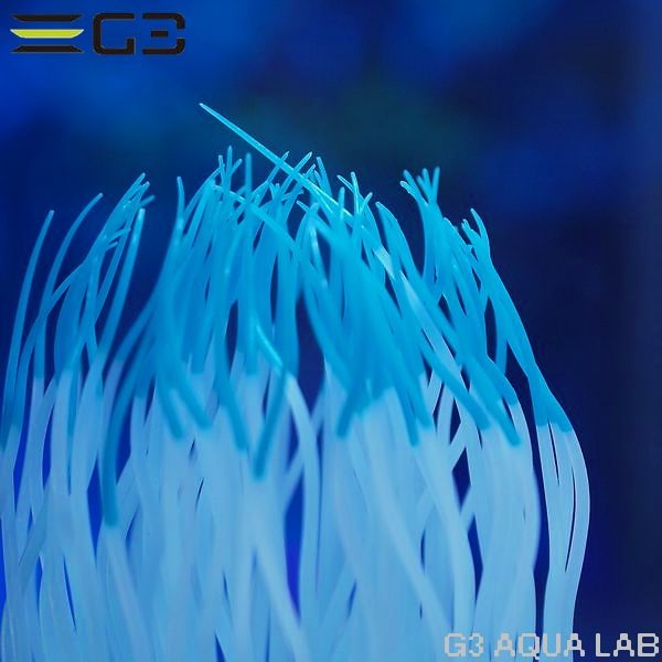 ���ߥϥ�������������㤯�󡡥֥롼��M��������[4971664009509]