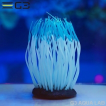 ���ߥϥ�������������㤯�󡡥֥롼��M��������[4971664009509]