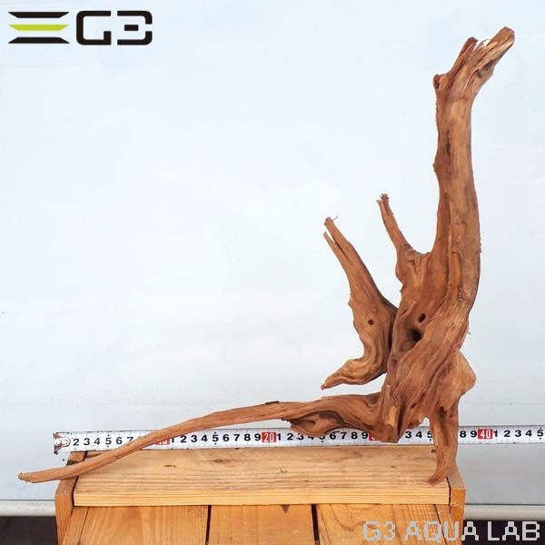 No,402��SD���󥻡������롼�ȥ��åɡ�LL������