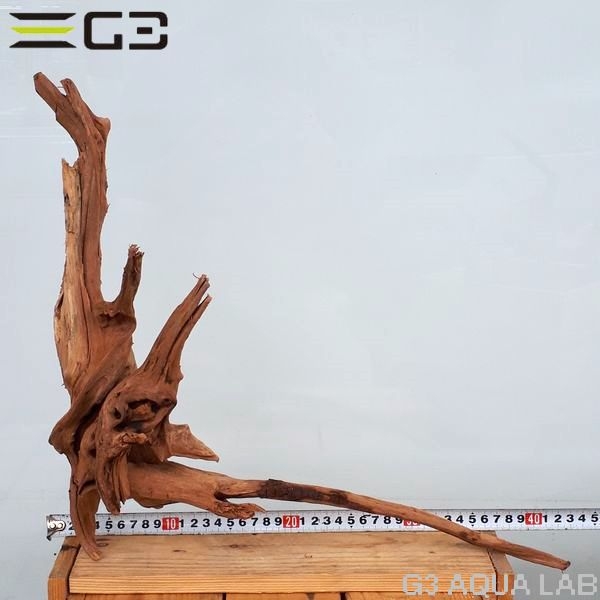 No,402��SD���󥻡������롼�ȥ��åɡ�LL������