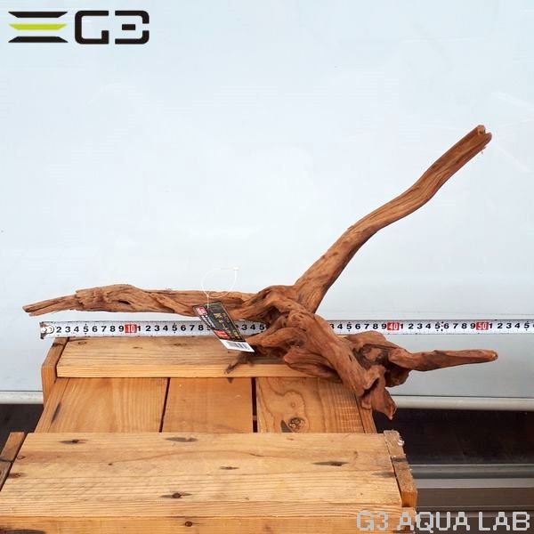 No,403��SD���󥻡������롼�ȥ��åɡ�LL������