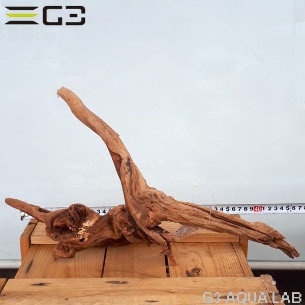 No,403��SD���󥻡������롼�ȥ��åɡ�LL������