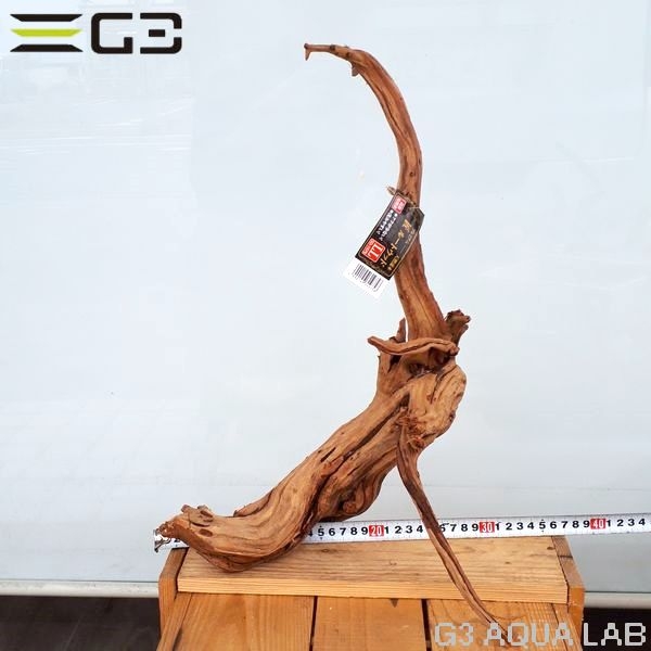 No,405��SD���󥻡������롼�ȥ��åɡ�LL������