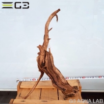 No,405��SD���󥻡������롼�ȥ��åɡ�LL������