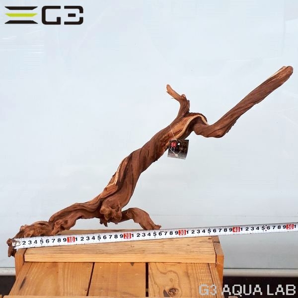 No,406��SD���󥻡������롼�ȥ��åɡ�LL������