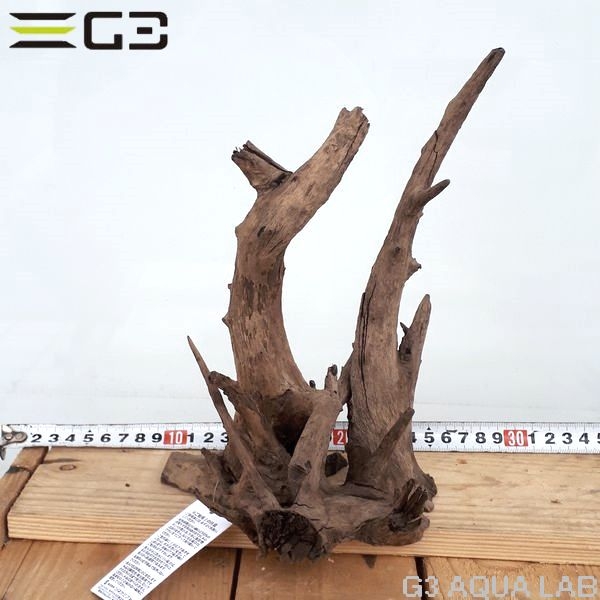 No,112�����ͥ��ߥե����֥�å��ۡ���ή�ڡ�S������