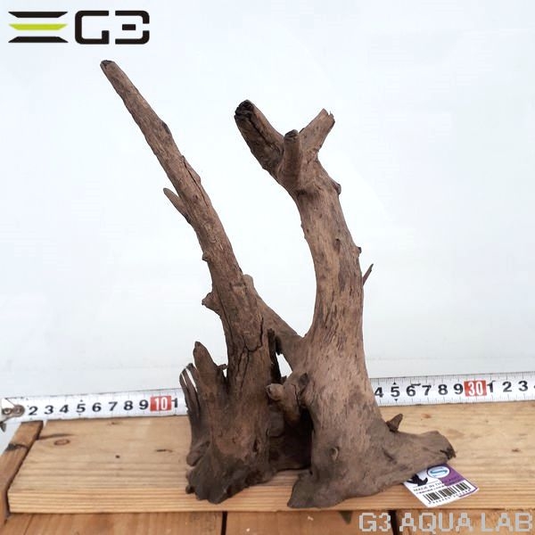 No,112�����ͥ��ߥե����֥�å��ۡ���ή�ڡ�S������