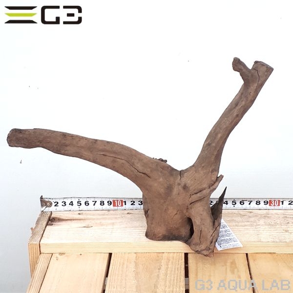 No,113�����ͥ��ߥե����֥�å��ۡ���ή�ڡ�S������