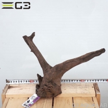 No,113�����ͥ��ߥե����֥�å��ۡ���ή�ڡ�S������