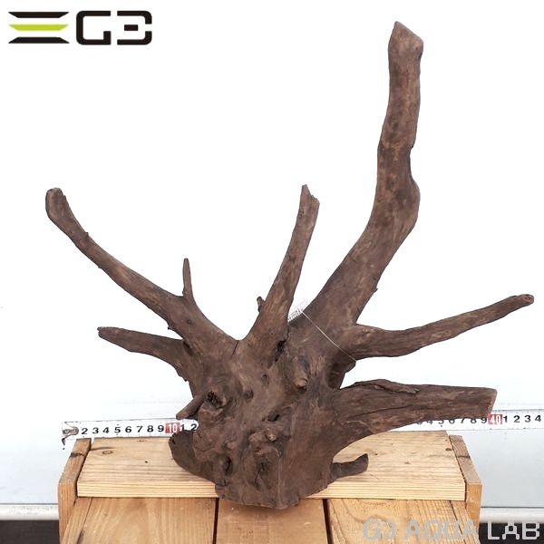 No,171�����ͥ��ߥե����֥�å��ۡ���ή�ڡ�L������