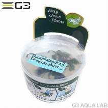 �֥��ե����ɥ� sp. �֥饦�ˡ��������ȡ�̵�����ȿ����ܡ�[C31677]