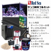 水槽関連 オーバーフロー水槽 90cm 1cm アクアリウムの通販は大阪のg3 Aqua Labまで 水槽関連 オーバーフロー水槽 90cm 1cm アクアリウムの通販は大阪のg3 Aqua Labまで