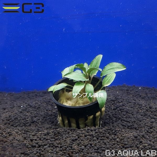 ����ץȥ���� ��륱�꡼��1«����0682-0122��