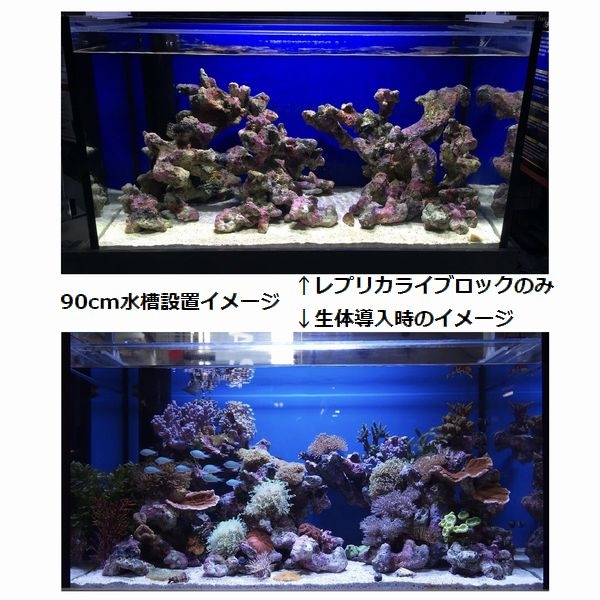 ATS �饤�֥��å��⥸�塼�� B��[4540103650611]