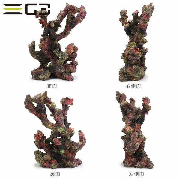 ATS �饤�֥��å��⥸�塼�� C��[4540103650628]