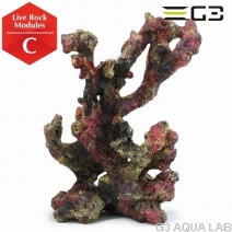 ATS �饤�֥��å��⥸�塼�� C��[4540103650628]