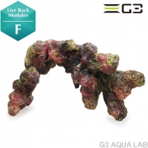 ATS �饤�֥��å��⥸�塼�� F��[4540103650659]