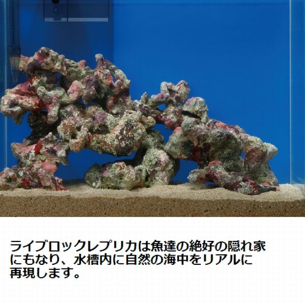 ATS �饤�֥��å���ץꥫ SS 3�ĥ��åȡ�[6100000]