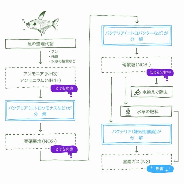 ø����ѽ����Х��ƥꥢ A-810 500ml  [4580052390039]